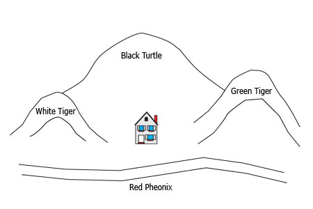 feng shui dragon turtle