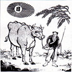 cowherd