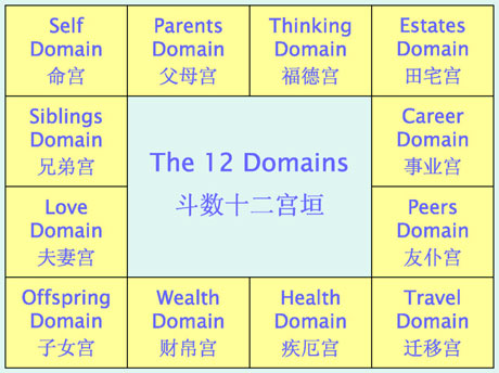 zi wei 12 domains