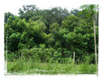 feng shui house land
